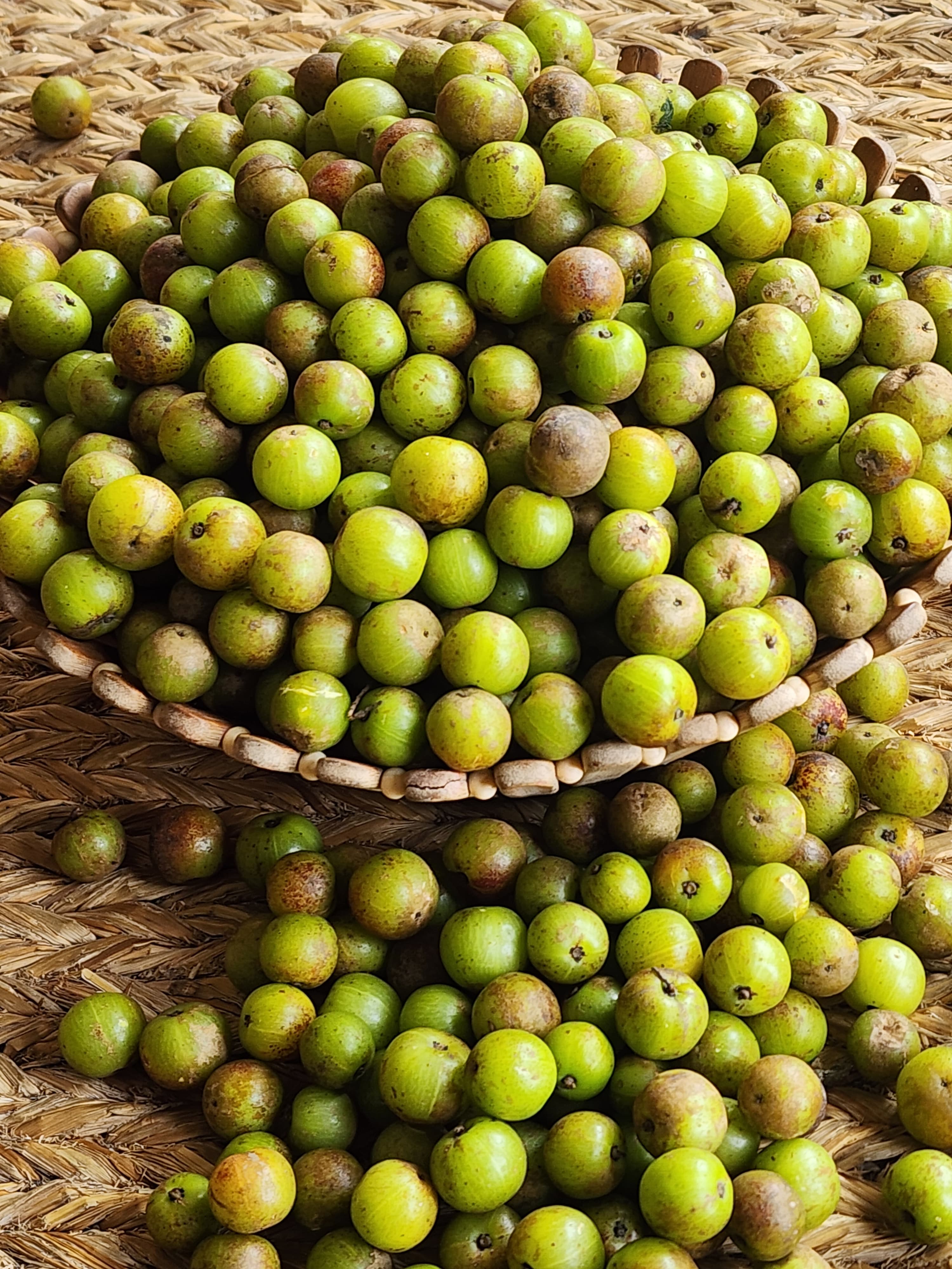 Amala (अमला स्थानिय) gooseberry, amblica