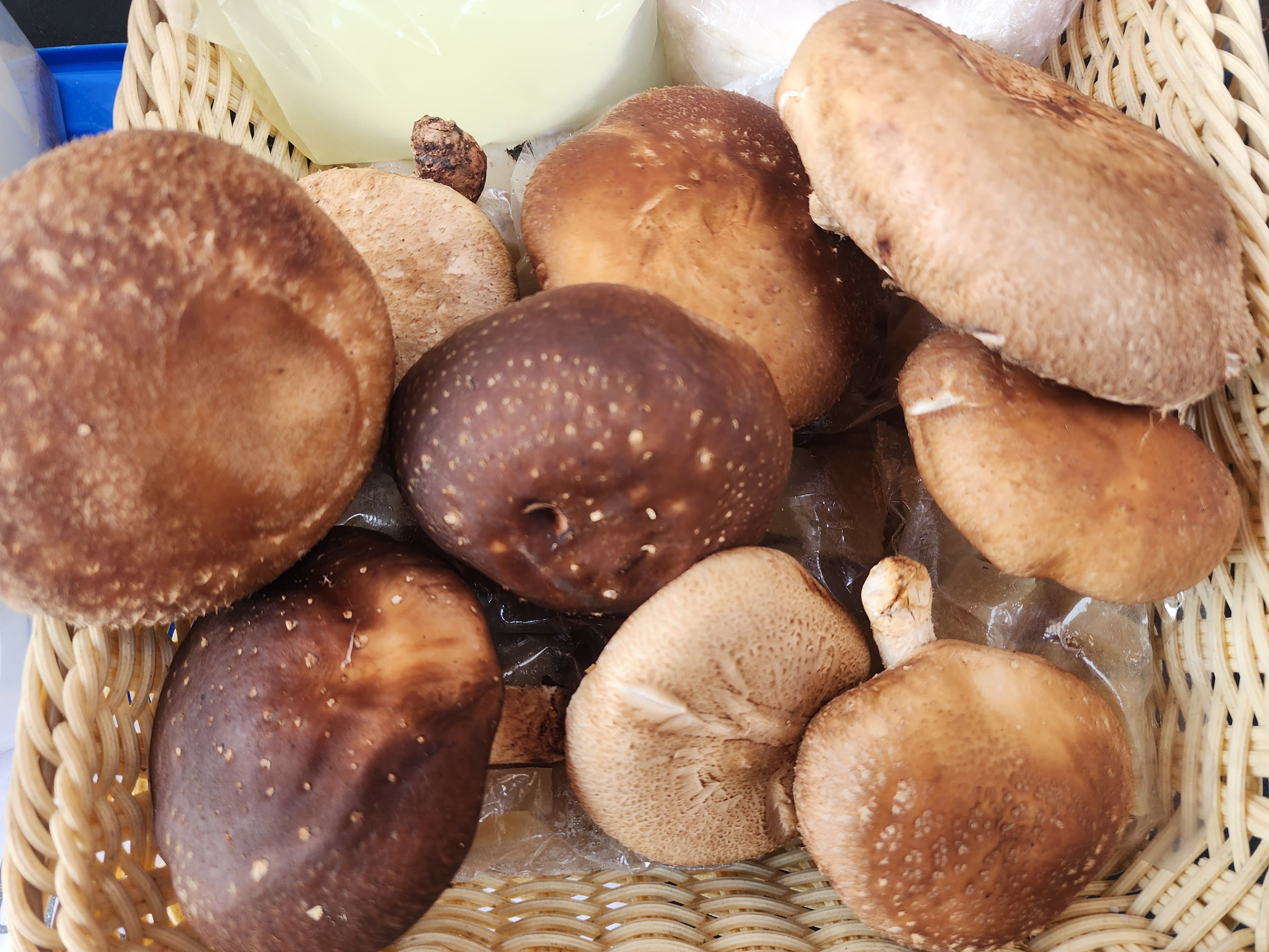 Fresh Shiitake Mushroom (सिताके च्याउ)