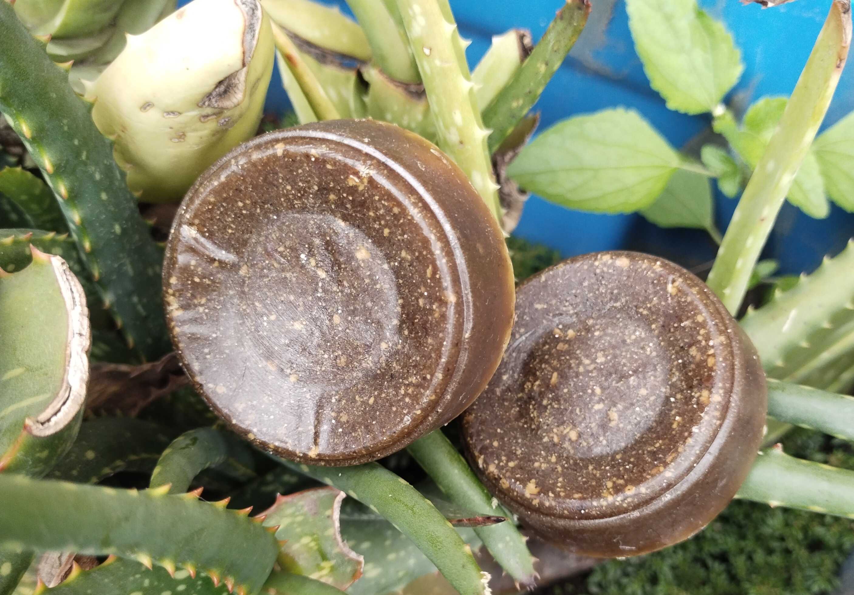 Handmade Herbal Face Soap