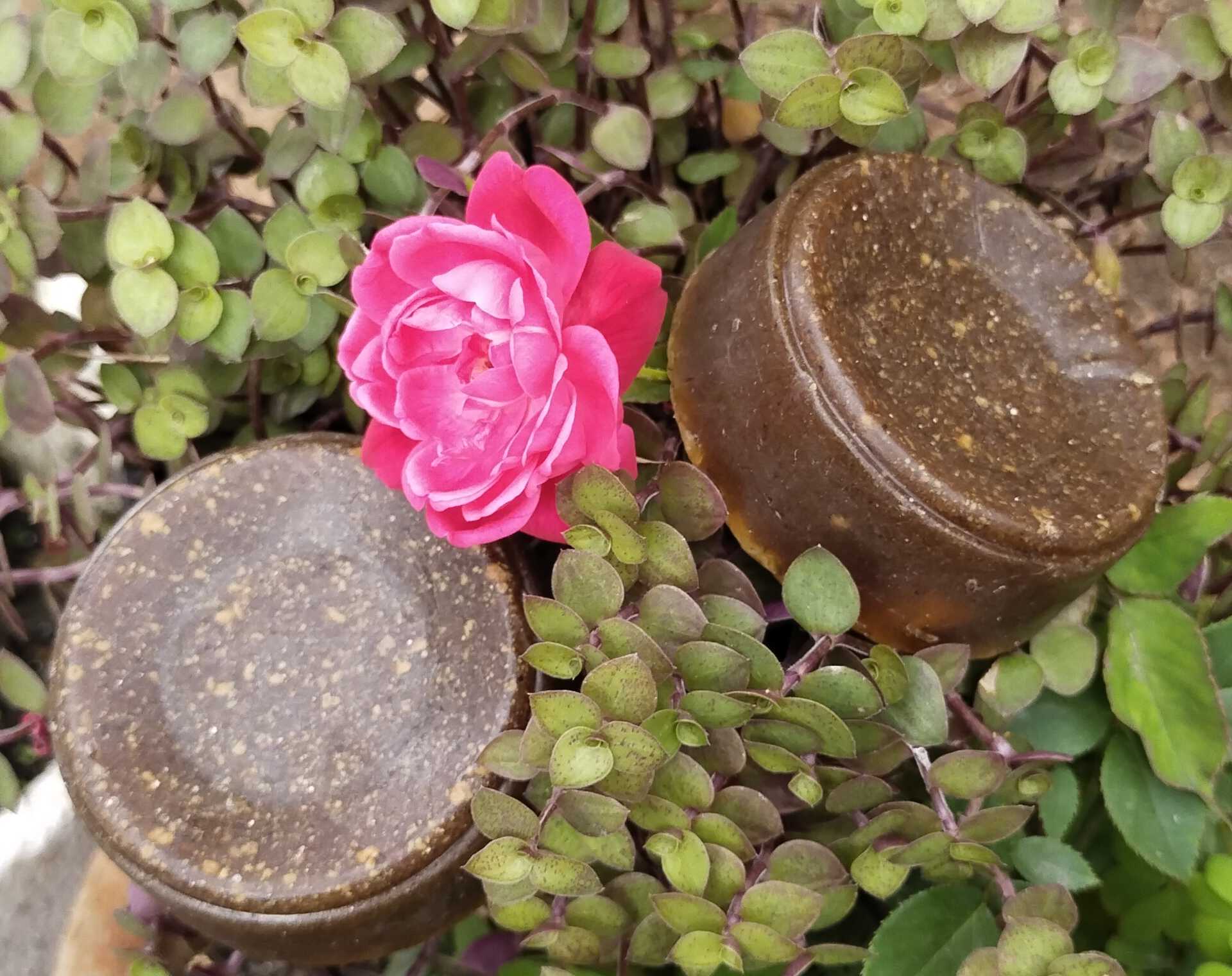 Handmade Herbal Face Soap